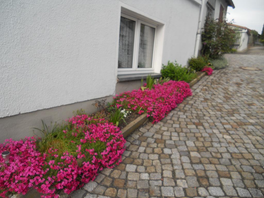Ferienhaus Zittau Oberlausitz & Ferienwohnung Am Hamann Berg Exterior photo