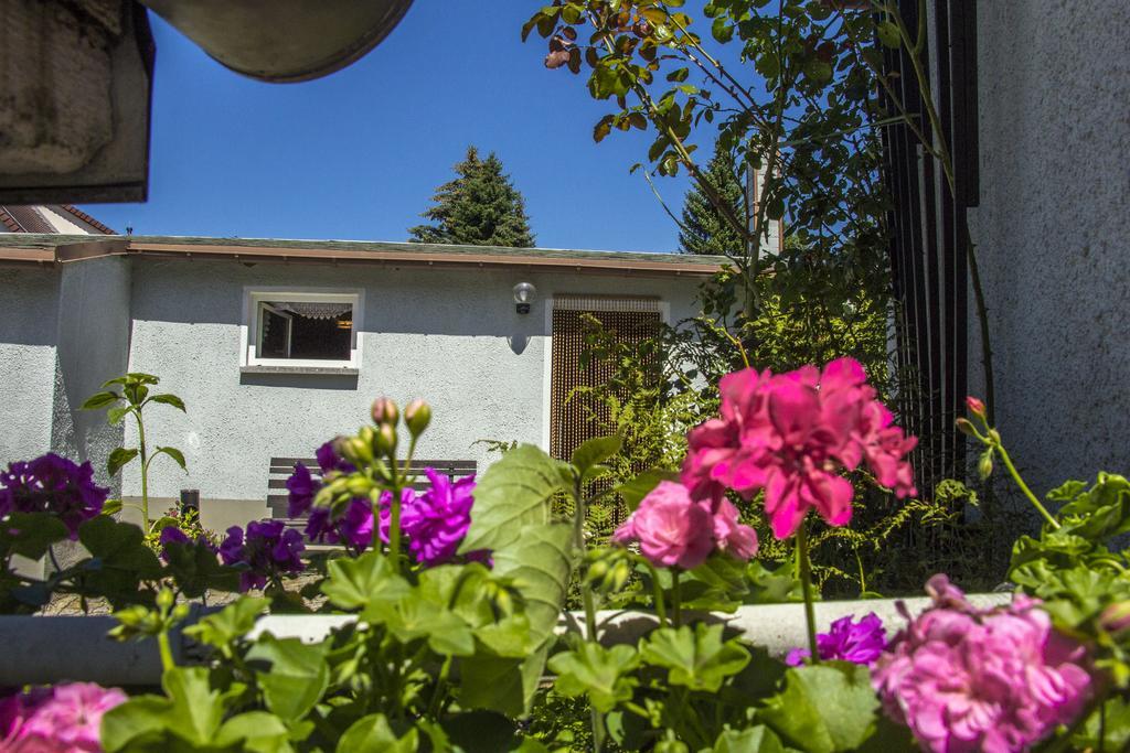 Ferienhaus Zittau Oberlausitz & Ferienwohnung Am Hamann Berg Exterior photo
